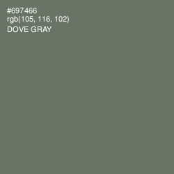 #697466 - Dove Gray Color Image